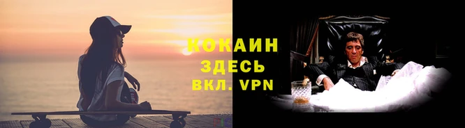 ПСИЛОЦИБИНОВЫЕ ГРИБЫ Волосово