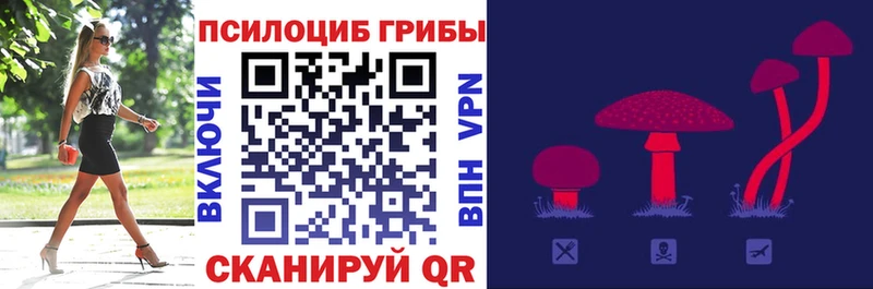 даркнет сайт  Гусь-Хрустальный  kraken сайт  Псилоцибиновые грибы Cubensis 